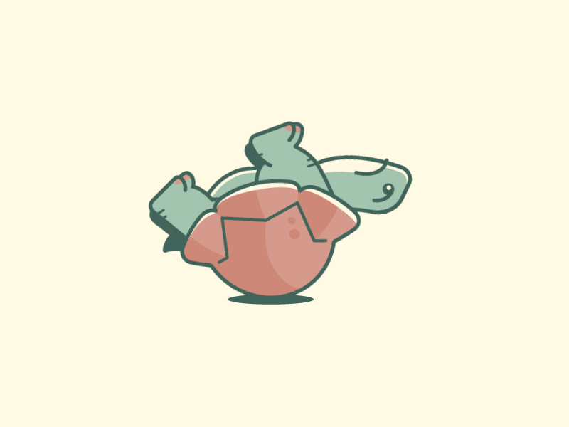 Animated turtle